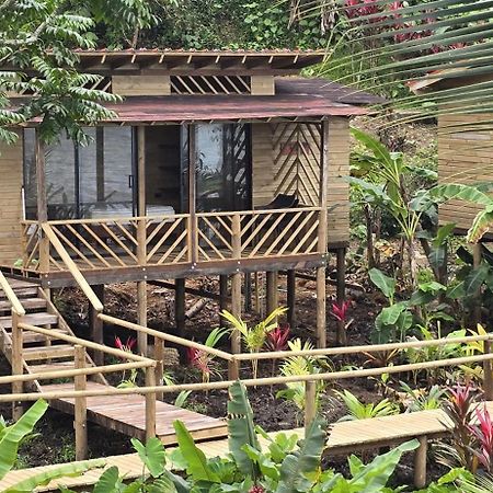 Pacific Nuqui Lodge Ngoại thất bức ảnh