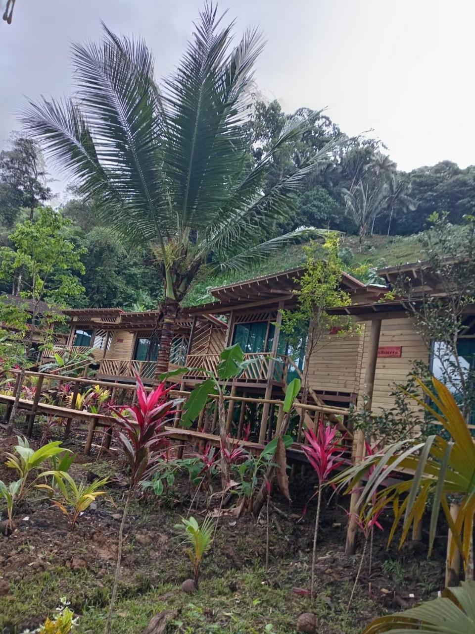 Pacific Nuqui Lodge Ngoại thất bức ảnh